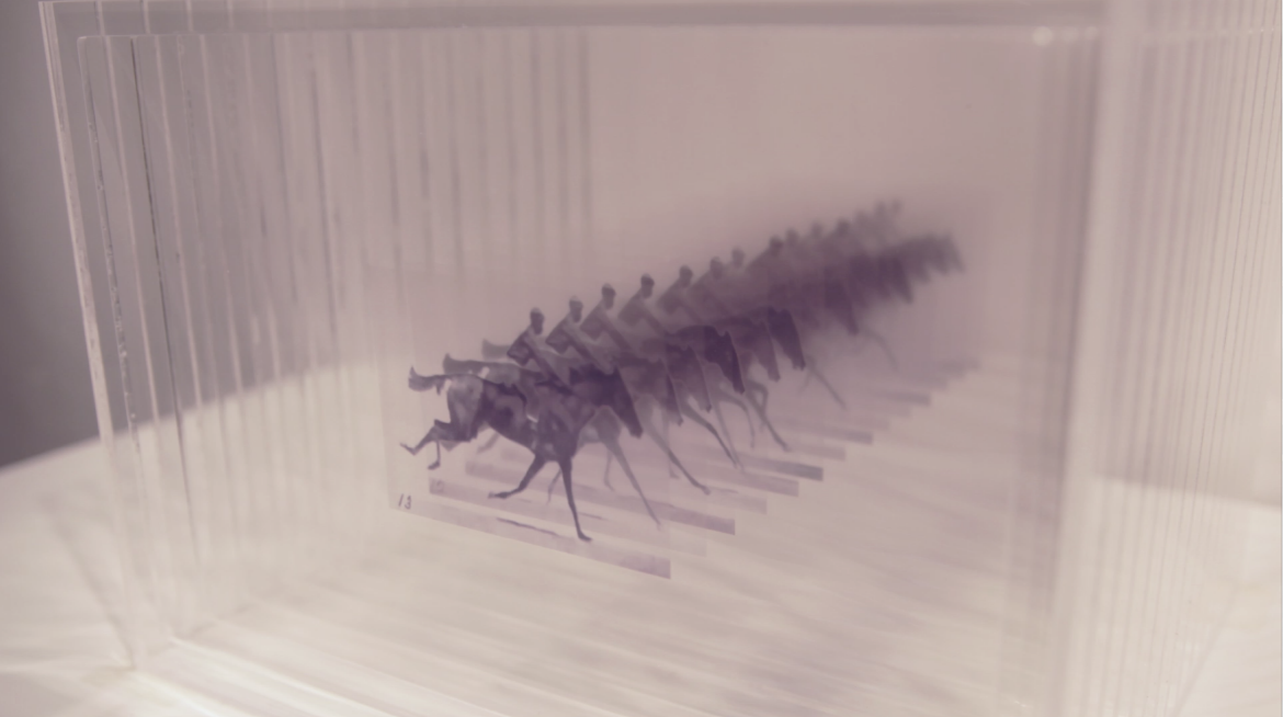 goods_file1